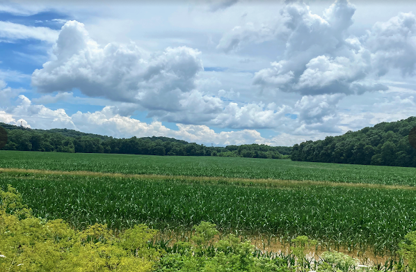 Top 5 Impacts of Mineral Rights on Your Land