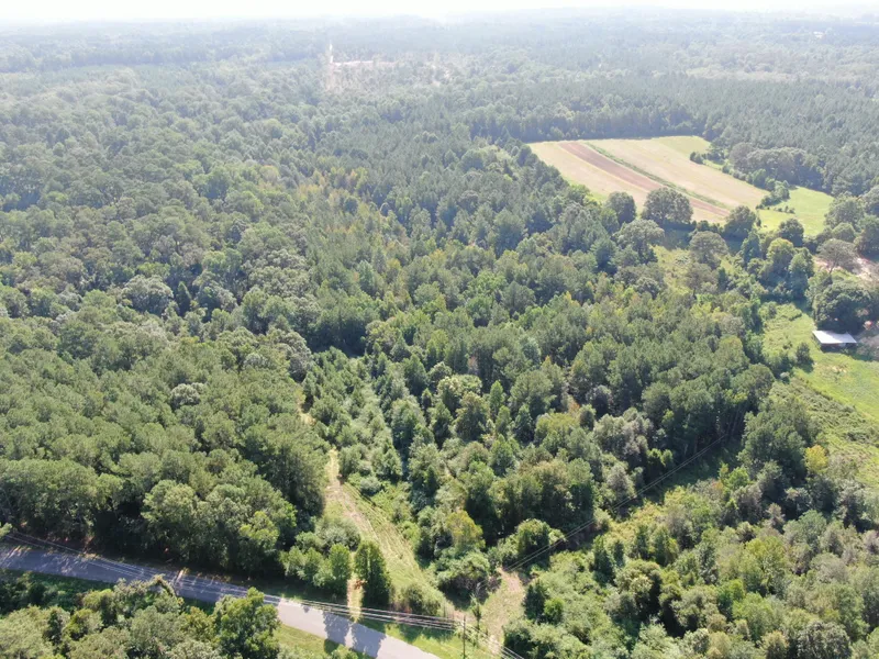 Land Real Estate Company, Lauderdale County, MS