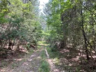 Why Your Land Isn't Selling: The Crew Land Co Perspective
