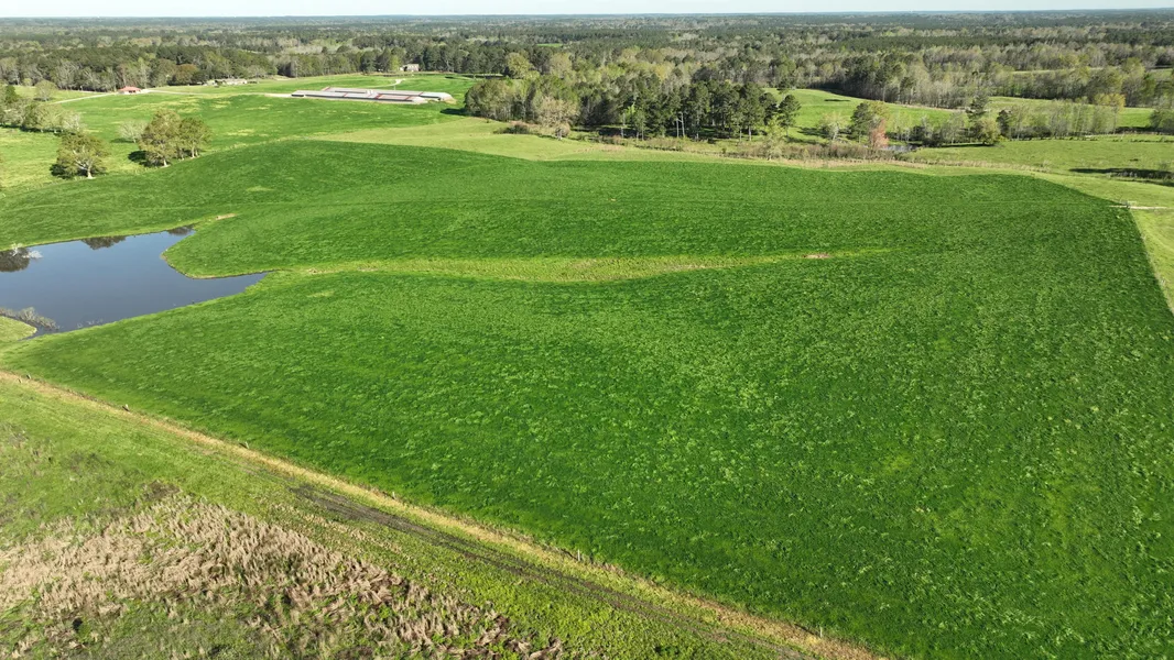 The Art & Science of Pricing Your Land