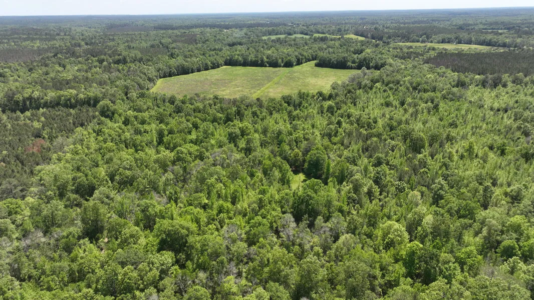 Jasper County MS Lots and Land for Sale
