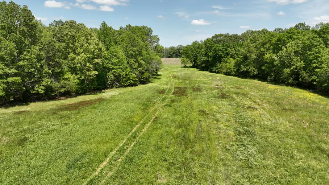 Access Easements: Understanding the Importance