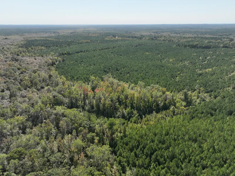Land for Sale in Noxubee County, MS | Land Realtor for Buying & Selling Land