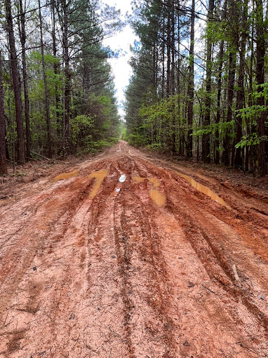 Why a Good Road System Is Vital to Your Land’s Value and Management