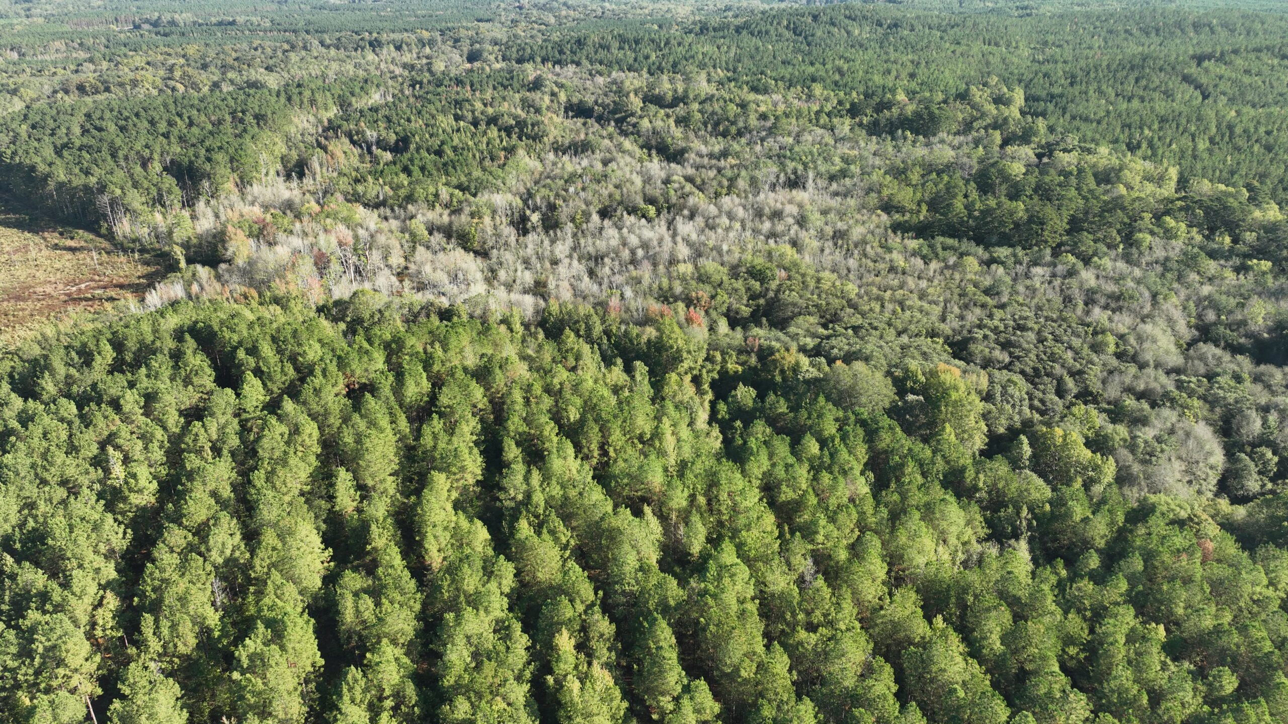 Maximize Your Land Sale Exposure in Mississippi &amp; Alabama | CREW Land Co