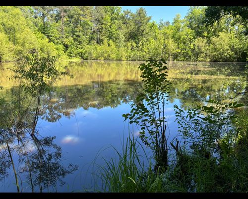60 Hinds County, Ms
