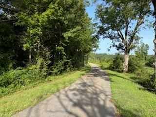 45± Acres for Sale in Jasper County, MS | Heidelberg Area