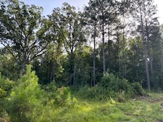 45± Acres for Sale in Jasper County, MS | Heidelberg Area