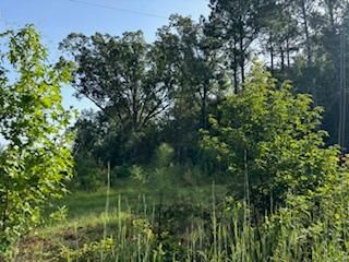 45± Acres for Sale in Jasper County, MS | Heidelberg Area